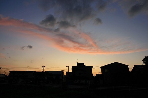 e0190885_20414722.jpg