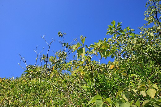 e0190885_20435293.jpg