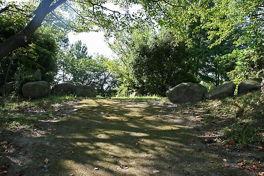 e0190885_2044541.jpg