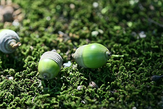 e0190885_20462836.jpg
