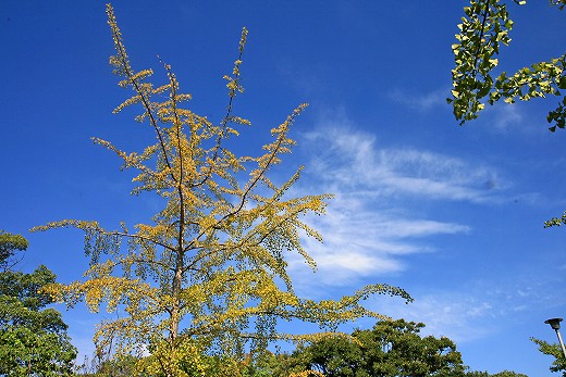 e0190885_20464065.jpg