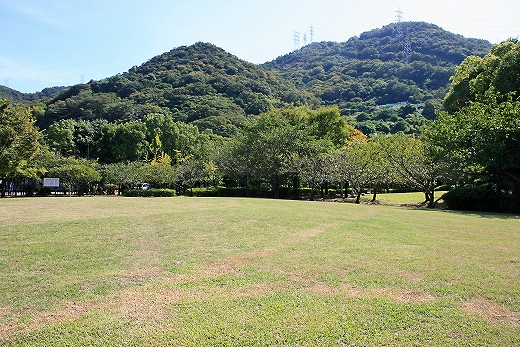 e0190885_2046648.jpg