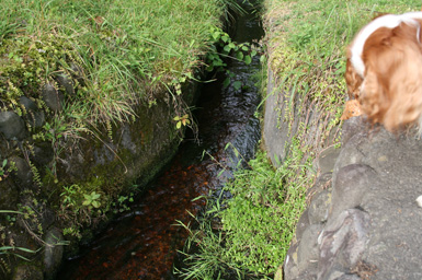 d0044986_23394999.jpg