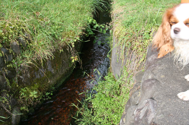 d0044986_23423122.jpg