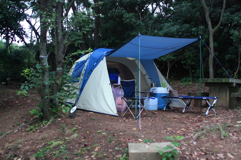 e0151486_2033213.jpg