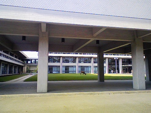 b0100489_541527.jpg
