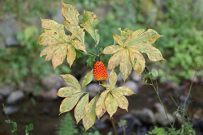 f0079289_2248081.jpg