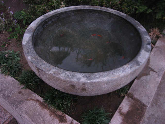 e0140491_1232485.jpg