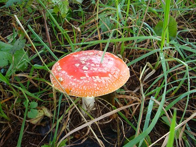 a0130792_13511986.jpg