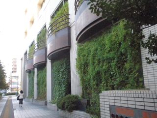 f0130894_2094072.jpg