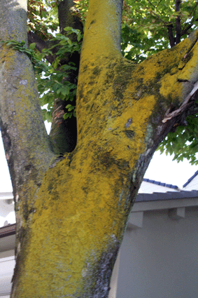 c0100195_20285528.gif