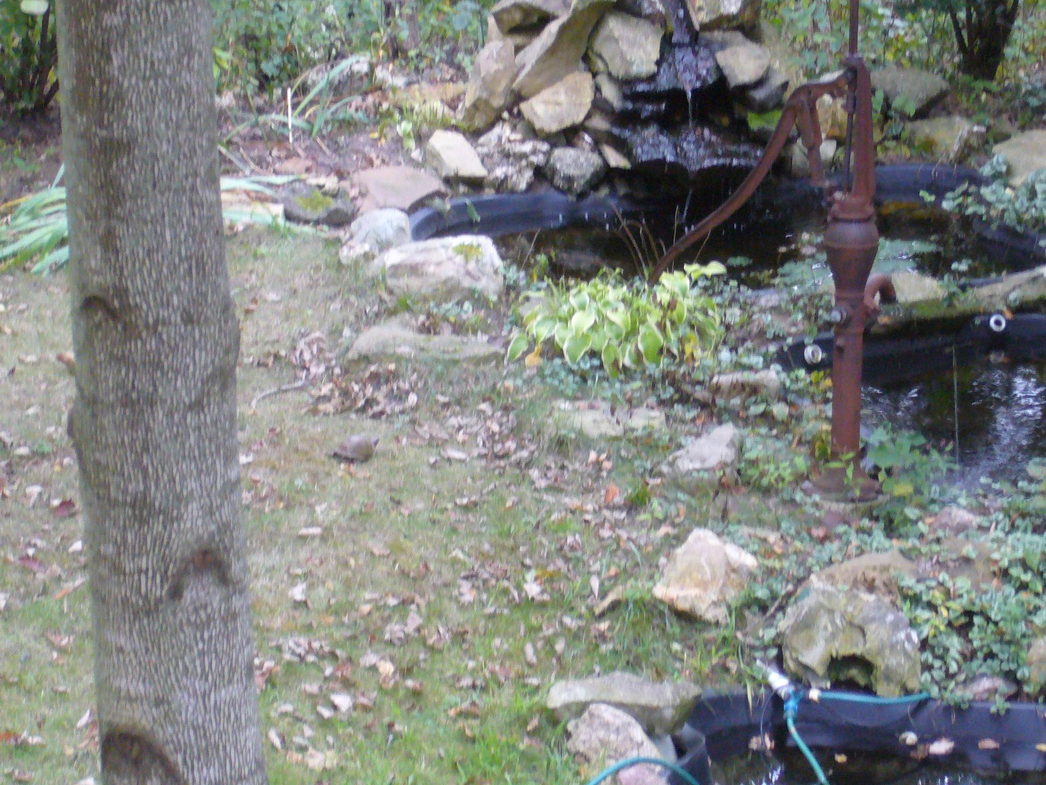f0169397_4115736.jpg