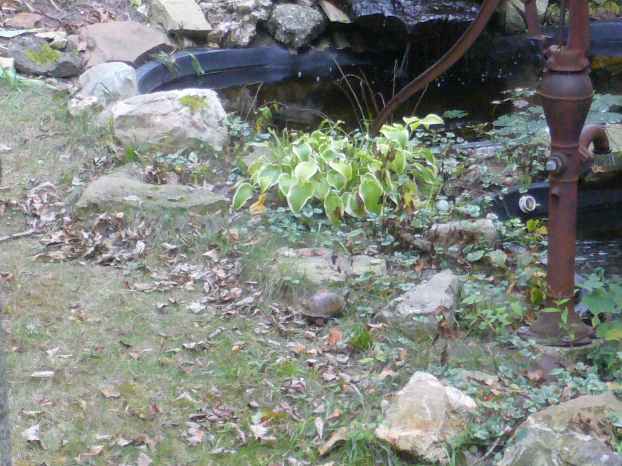 f0169397_4121781.jpg