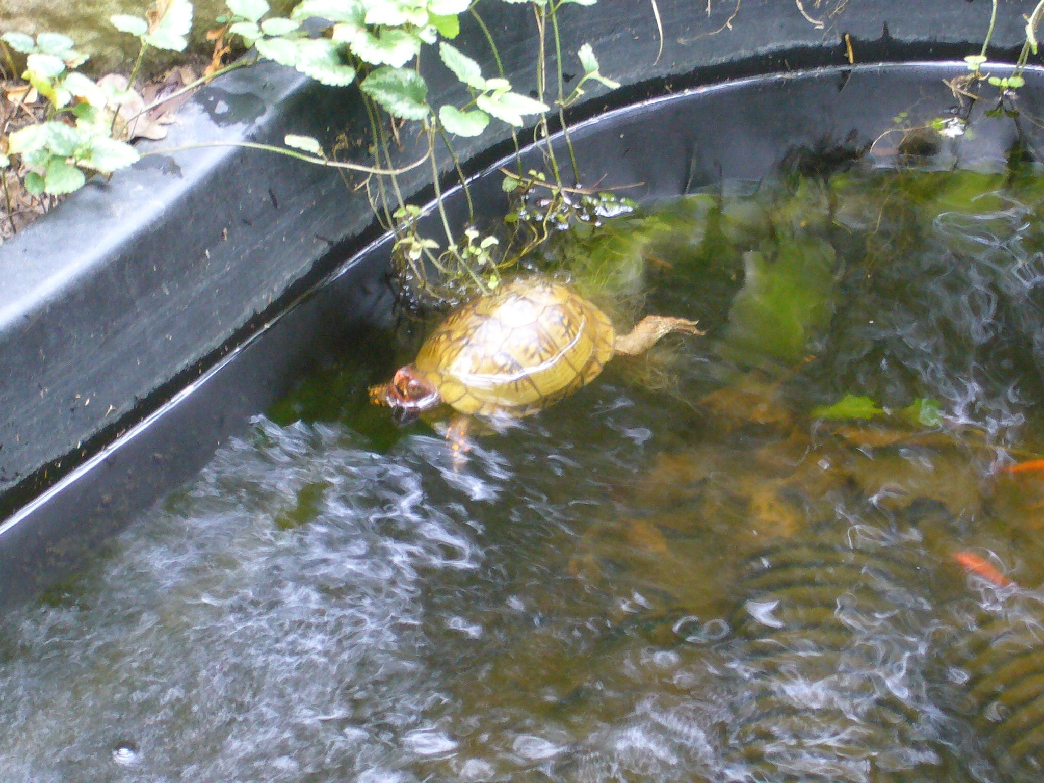 f0169397_4123320.jpg