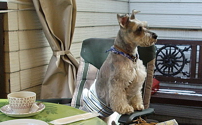 c0138198_22204869.jpg