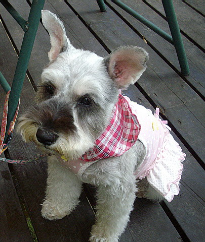 c0138198_22221561.jpg