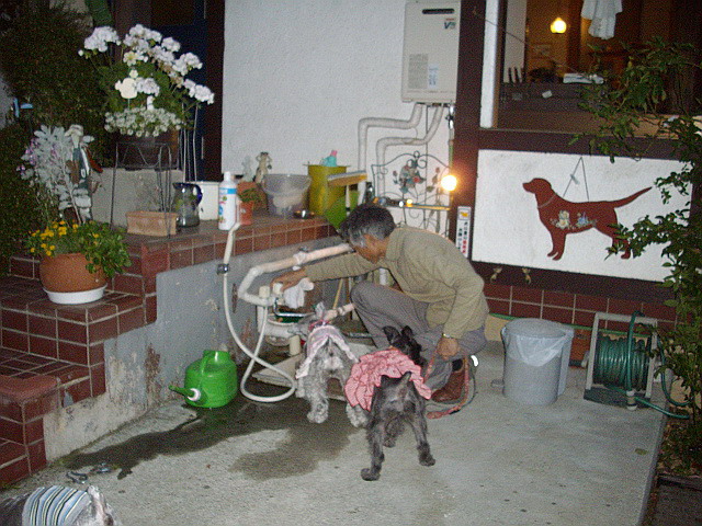 c0138198_22411761.jpg