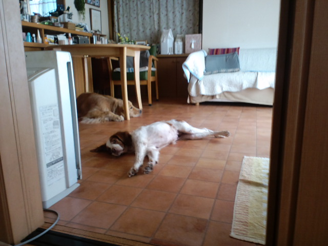 e0130299_2192863.jpg