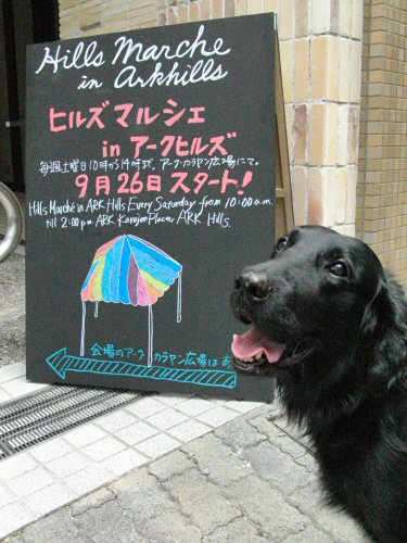 c0050400_1631744.jpg