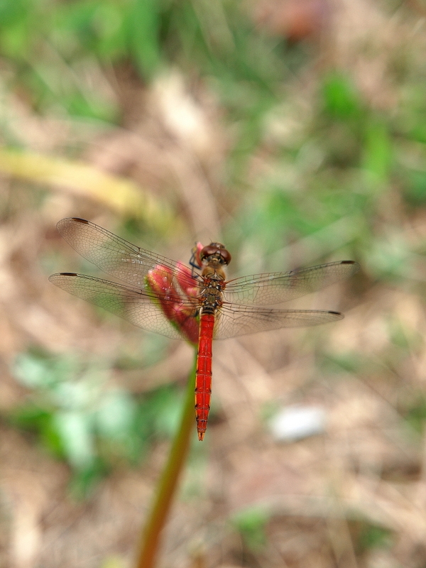 b0138101_013126.jpg