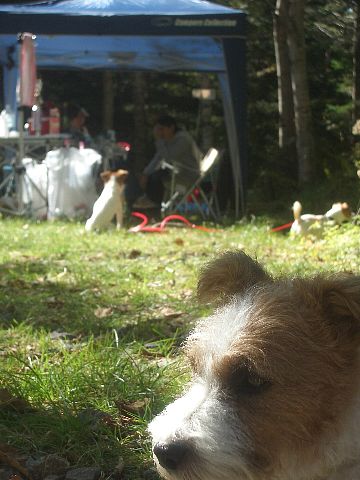 a0051402_1043247.jpg