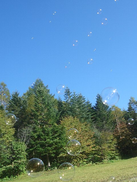 a0051402_10474417.jpg