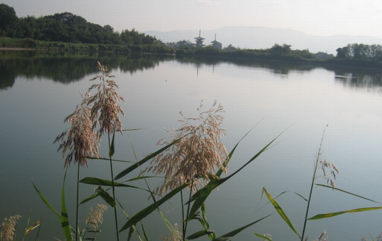 a0101802_0362789.jpg