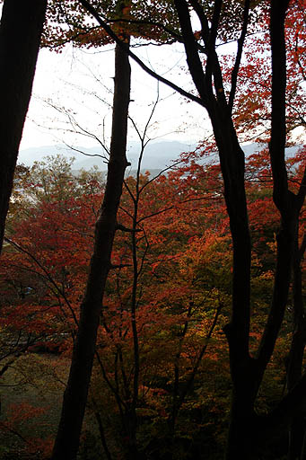 b0061004_3245329.jpg