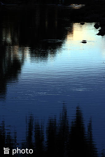 b0061004_3272027.jpg