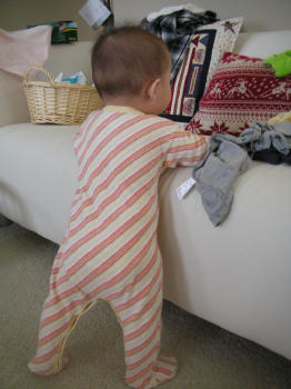b0171411_7453840.jpg