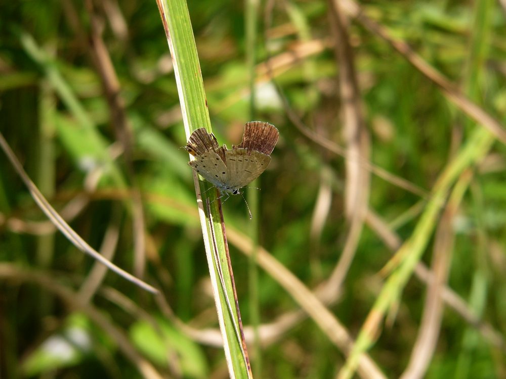 c0062511_2054572.jpg