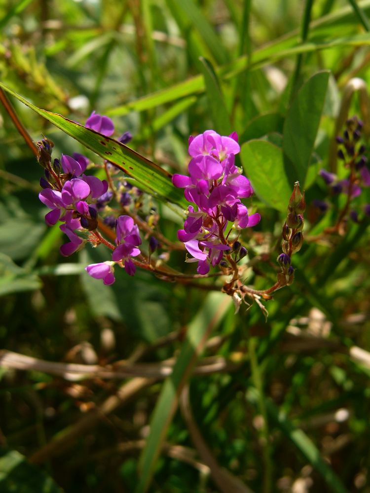 c0062511_205779.jpg