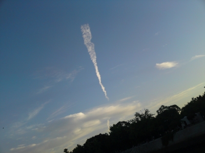 a0000014_23201369.jpg
