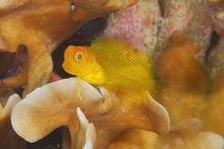 b0155916_2251510.jpg