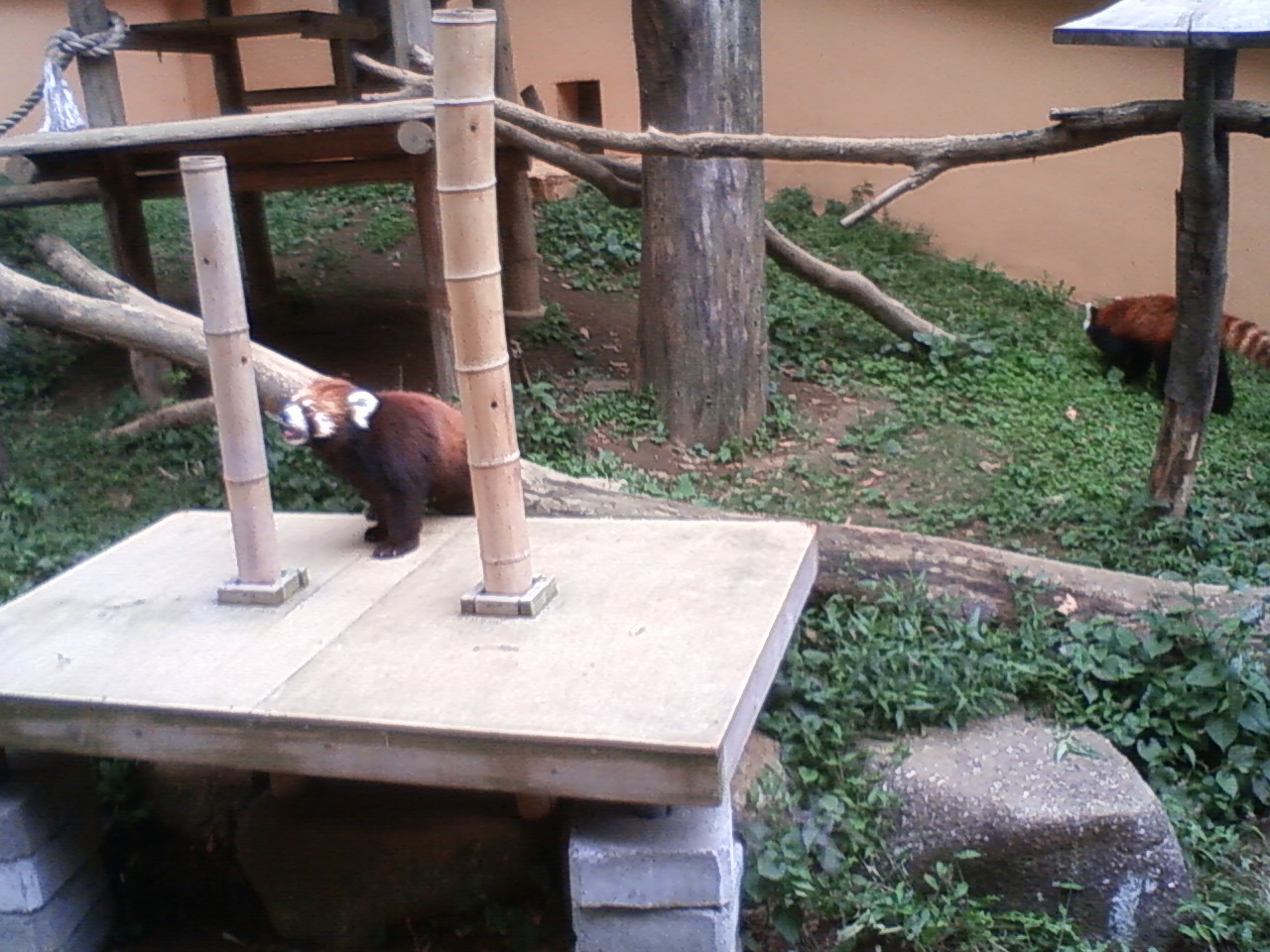 c0204417_935591.jpg