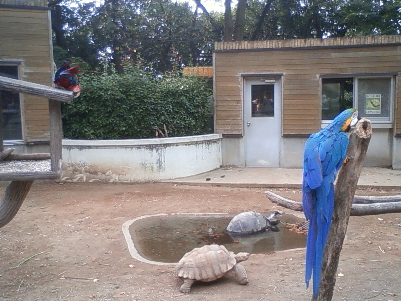 c0204417_936114.jpg