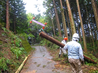 e0002820_12455122.jpg
