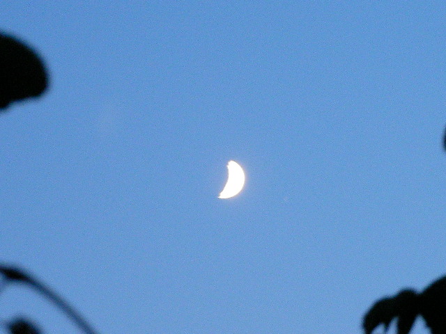 c0097923_343378.jpg