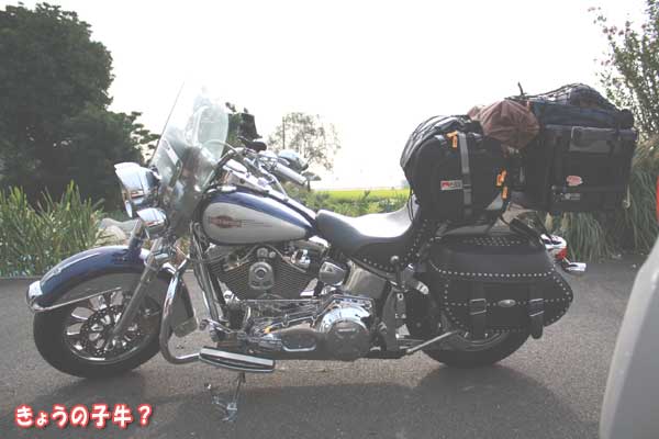 f0203423_1415136.jpg