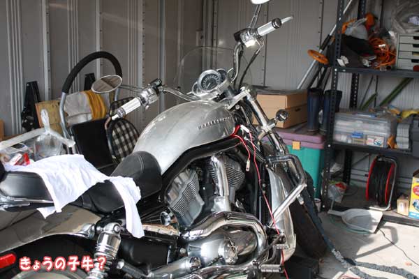 f0203423_14152040.jpg