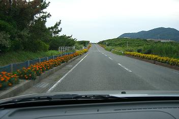 b0175525_1575979.jpg