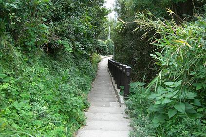 b0175525_1582458.jpg