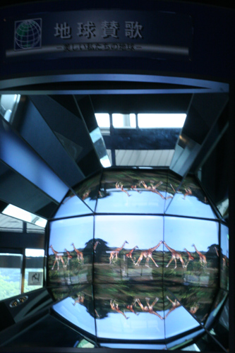 e0071225_2394542.jpg