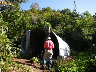 f0118332_1815725.jpg
