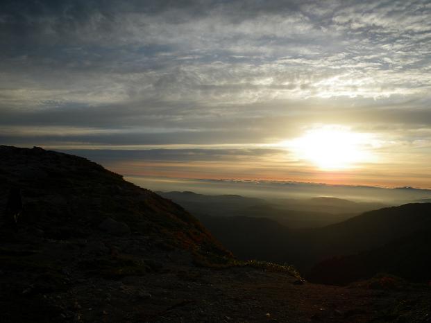f0118332_2291378.jpg