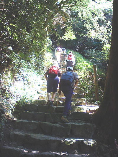 a0129233_15232938.jpg