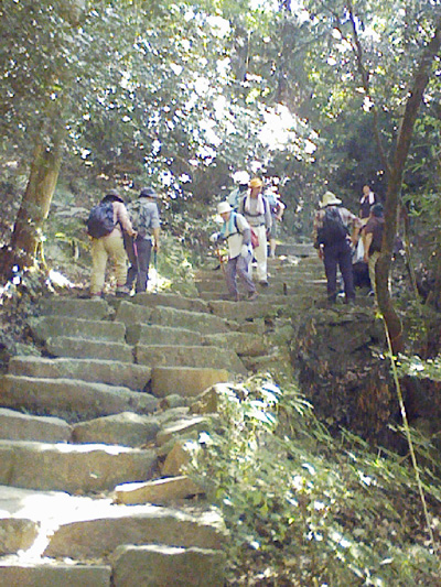 a0129233_1523826.jpg