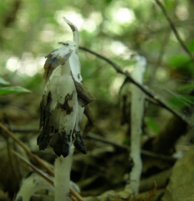 e0145033_2294889.jpg