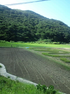 c0072734_1353147.jpg