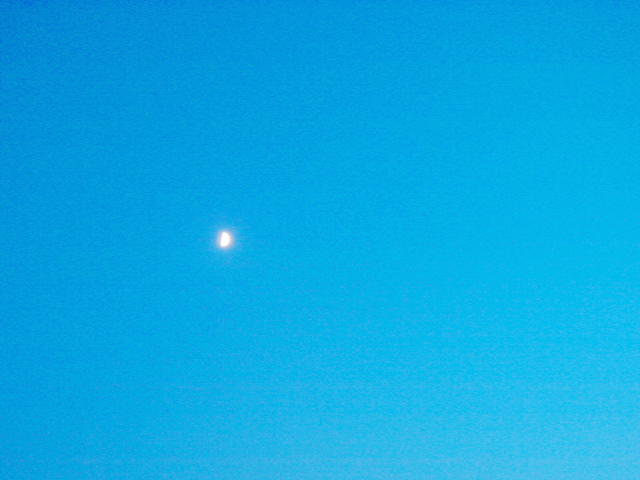 c0202938_20563697.jpg